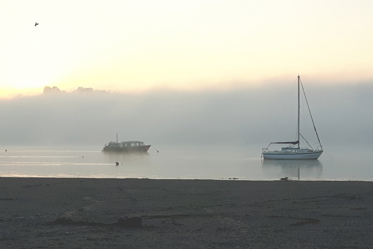 Instow misty boats near apartment